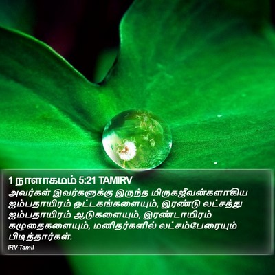 1 நாளாகமம் 5:21 TAMIRV Bible Verse Image