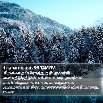 1 நாளாகமம் 5:9 TAMIRV Bible Verse Image