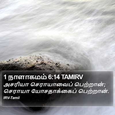 1 நாளாகமம் 6:14 TAMIRV Bible Verse Image