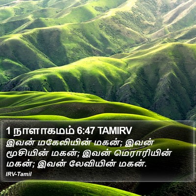 1 நாளாகமம் 6:47 TAMIRV Bible Verse Image