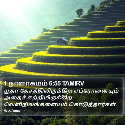 1 நாளாகமம் 6:55 TAMIRV Bible Verse Image