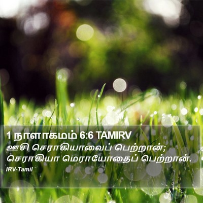 1 நாளாகமம் 6:6 TAMIRV Bible Verse Image
