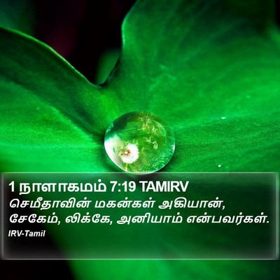 1 நாளாகமம் 7:19 TAMIRV Bible Verse Image
