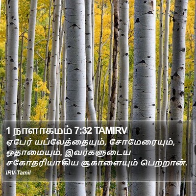 1 நாளாகமம் 7:32 TAMIRV Bible Verse Image