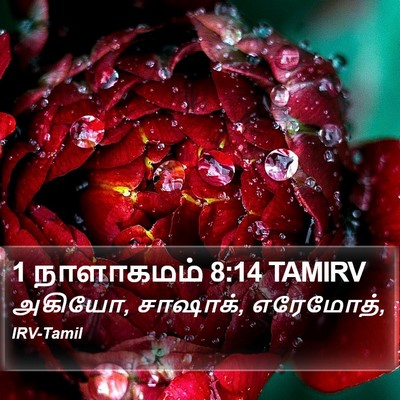 1 நாளாகமம் 8:14 TAMIRV Bible Verse Image
