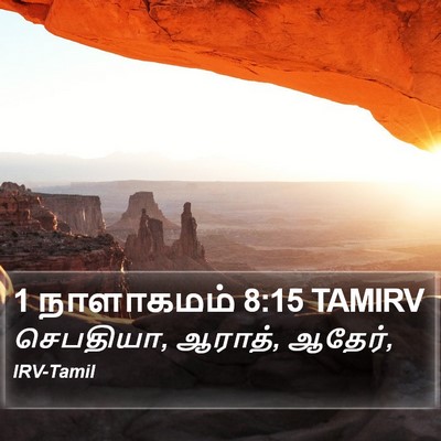 1 நாளாகமம் 8:15 TAMIRV Bible Verse Image