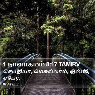 1 நாளாகமம் 8:17 TAMIRV Bible Verse Image