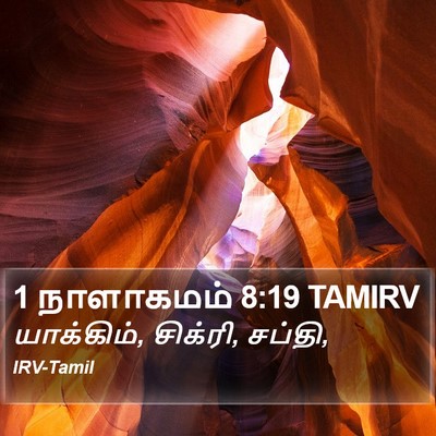 1 நாளாகமம் 8:19 TAMIRV Bible Verse Image