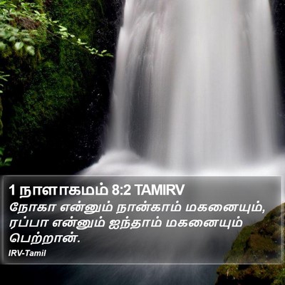 1 நாளாகமம் 8:2 TAMIRV Bible Verse Image