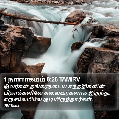1 நாளாகமம் 8:28 TAMIRV Bible Verse Image