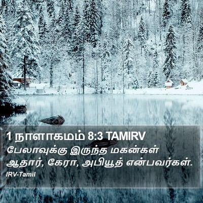 1 நாளாகமம் 8:3 TAMIRV Bible Verse Image
