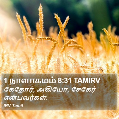1 நாளாகமம் 8:31 TAMIRV Bible Verse Image