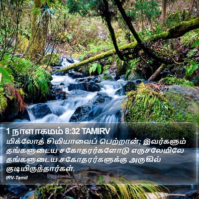 1 நாளாகமம் 8:32 TAMIRV Bible Verse Image