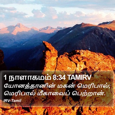 1 நாளாகமம் 8:34 TAMIRV Bible Verse Image