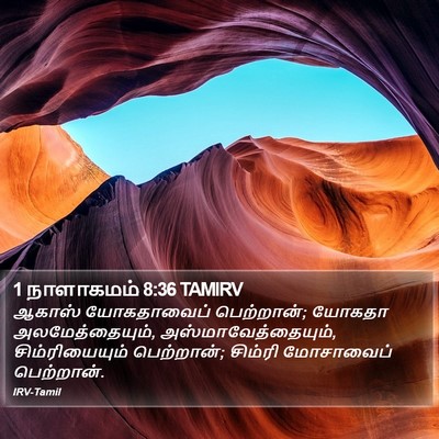 1 நாளாகமம் 8:36 TAMIRV Bible Verse Image
