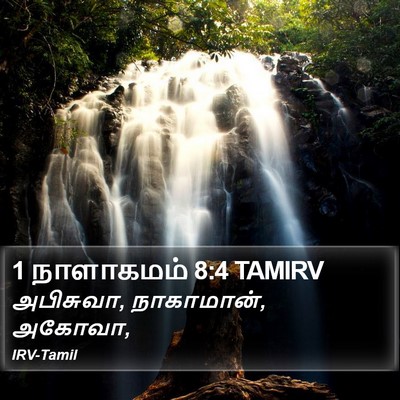 1 நாளாகமம் 8:4 TAMIRV Bible Verse Image