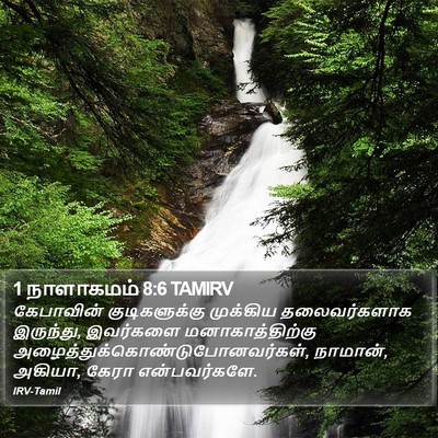 1 நாளாகமம் 8:6 TAMIRV Bible Verse Image