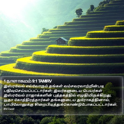 1 நாளாகமம் 9:1 TAMIRV Bible Verse Image