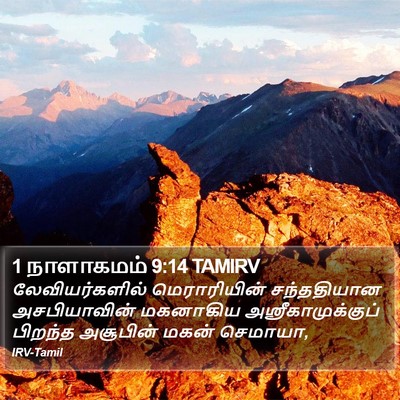 1 நாளாகமம் 9:14 TAMIRV Bible Verse Image