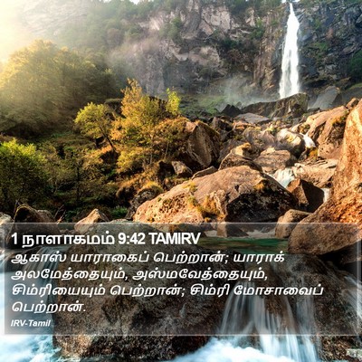 1 நாளாகமம் 9:42 TAMIRV Bible Verse Image