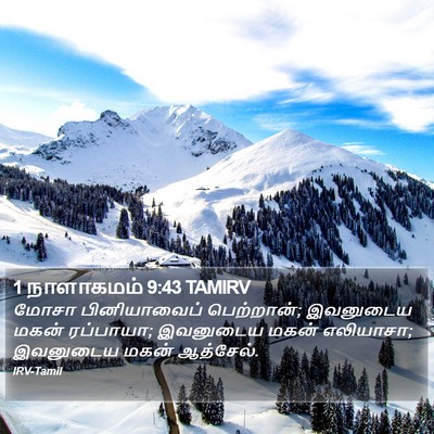 1 நாளாகமம் 9:43 TAMIRV Bible Verse Image