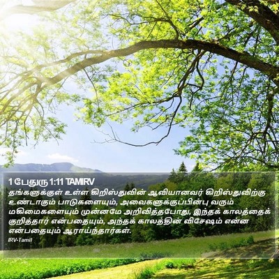 1 பேதுரு 1:11 TAMIRV Bible Verse Image