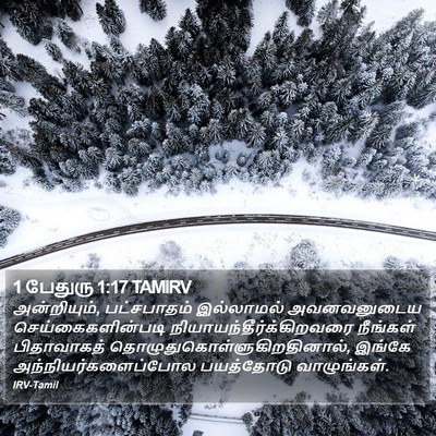 1 பேதுரு 1:17 TAMIRV Bible Verse Image