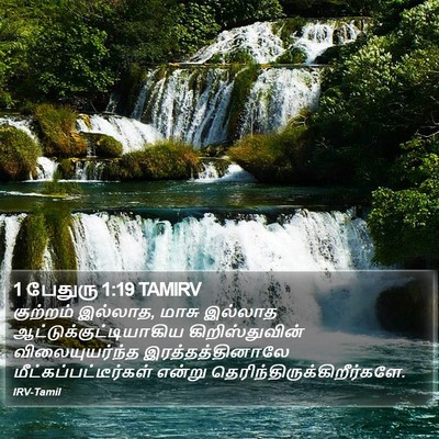 1 பேதுரு 1:19 TAMIRV Bible Verse Image