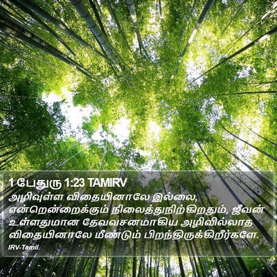 1 பேதுரு 1:23 TAMIRV Bible Verse Image