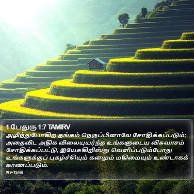 1 பேதுரு 1:7 TAMIRV Bible Verse Image