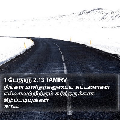 1 பேதுரு 2:13 TAMIRV Bible Verse Image