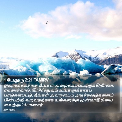 1 பேதுரு 2:21 TAMIRV Bible Verse Image