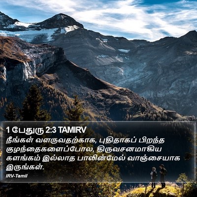 1 பேதுரு 2:3 TAMIRV Bible Verse Image