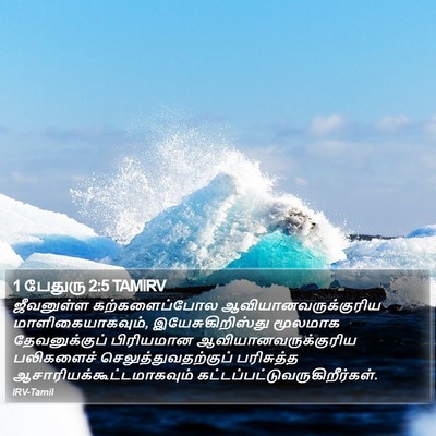 1 பேதுரு 2:5 TAMIRV Bible Verse Image