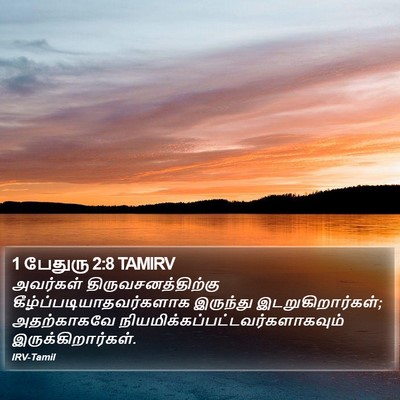 1 பேதுரு 2:8 TAMIRV Bible Verse Image