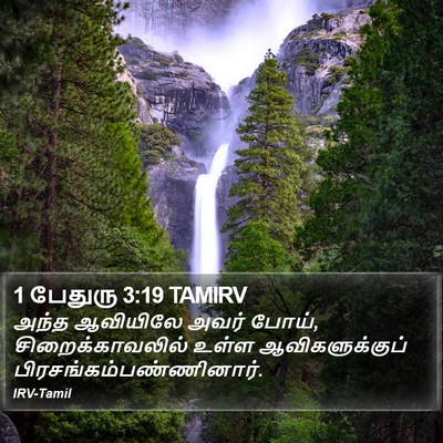 1 பேதுரு 3:19 TAMIRV Bible Verse Image