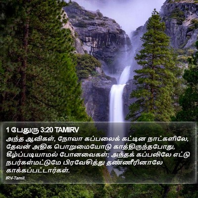 1 பேதுரு 3:20 TAMIRV Bible Verse Image