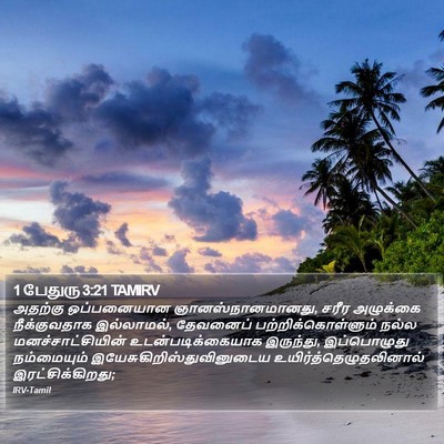 1 பேதுரு 3:21 TAMIRV Bible Verse Image