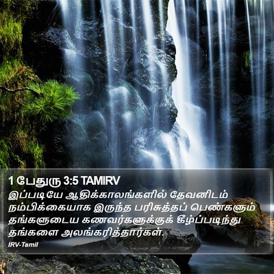 1 பேதுரு 3:5 TAMIRV Bible Verse Image