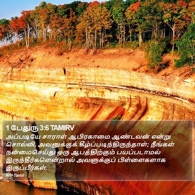 1 பேதுரு 3:6 TAMIRV Bible Verse Image