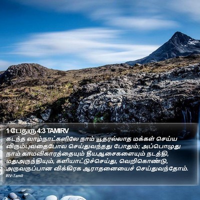 1 பேதுரு 4:3 TAMIRV Bible Verse Image
