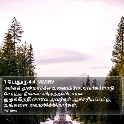 1 பேதுரு 4:4 TAMIRV Bible Verse Image
