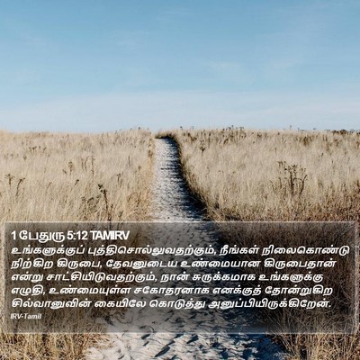 1 பேதுரு 5:12 TAMIRV Bible Verse Image