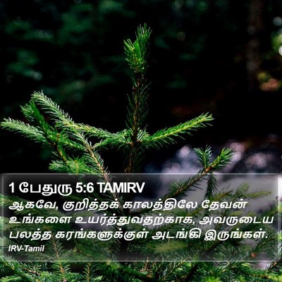 1 பேதுரு 5:6 TAMIRV Bible Verse Image