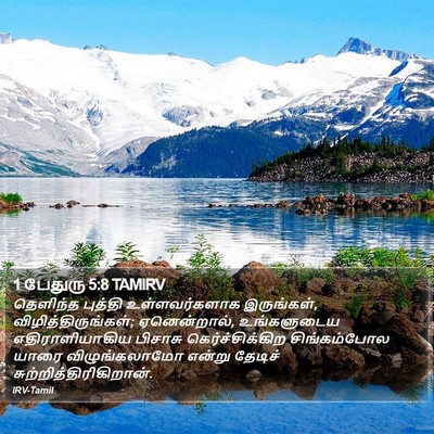 1 பேதுரு 5:8 TAMIRV Bible Verse Image