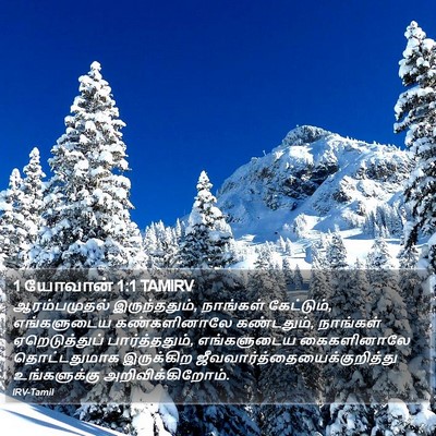 1 யோவான் 1:1 TAMIRV Bible Verse Image