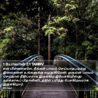 1 யோவான் 2:1 TAMIRV Bible Verse Image