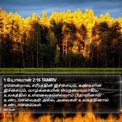 1 யோவான் 2:16 TAMIRV Bible Verse Image