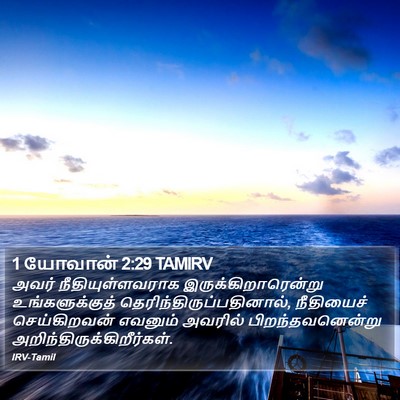 1 யோவான் 2:29 TAMIRV Bible Verse Image