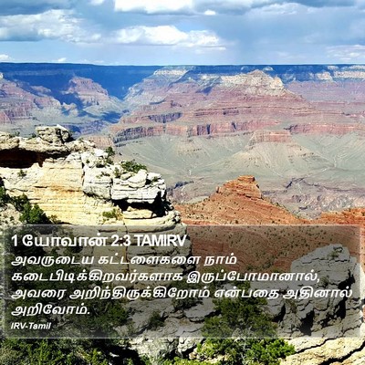 1 யோவான் 2:3 TAMIRV Bible Verse Image
